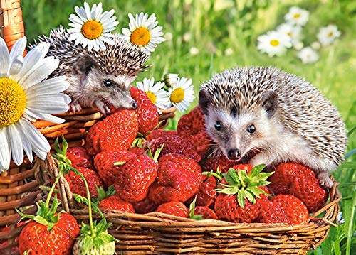 Castorland Puzzle 260 Pieces, Strawberry Dessert - В-27484