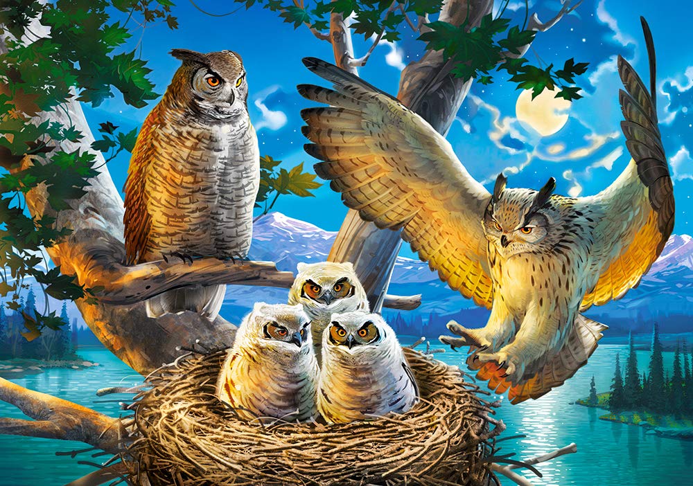 Castorland Puzzle 500 Pieces, Owl Family - В-53322
