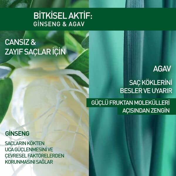 Yves Rocher Serum Force Intensive Scalp Booster Strenth Serum Treatment Hair Care - 75 ml. / 2.5 fl.oz.