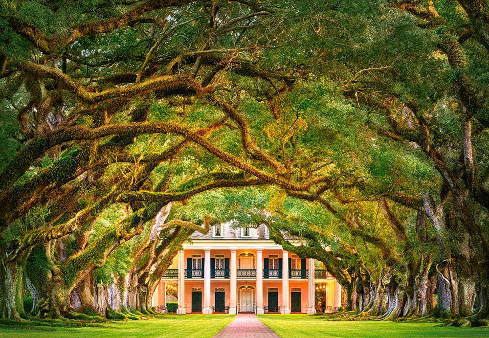 Castorland Puzzle 1000 Pieces, Oak Alley Plantation - С-104383