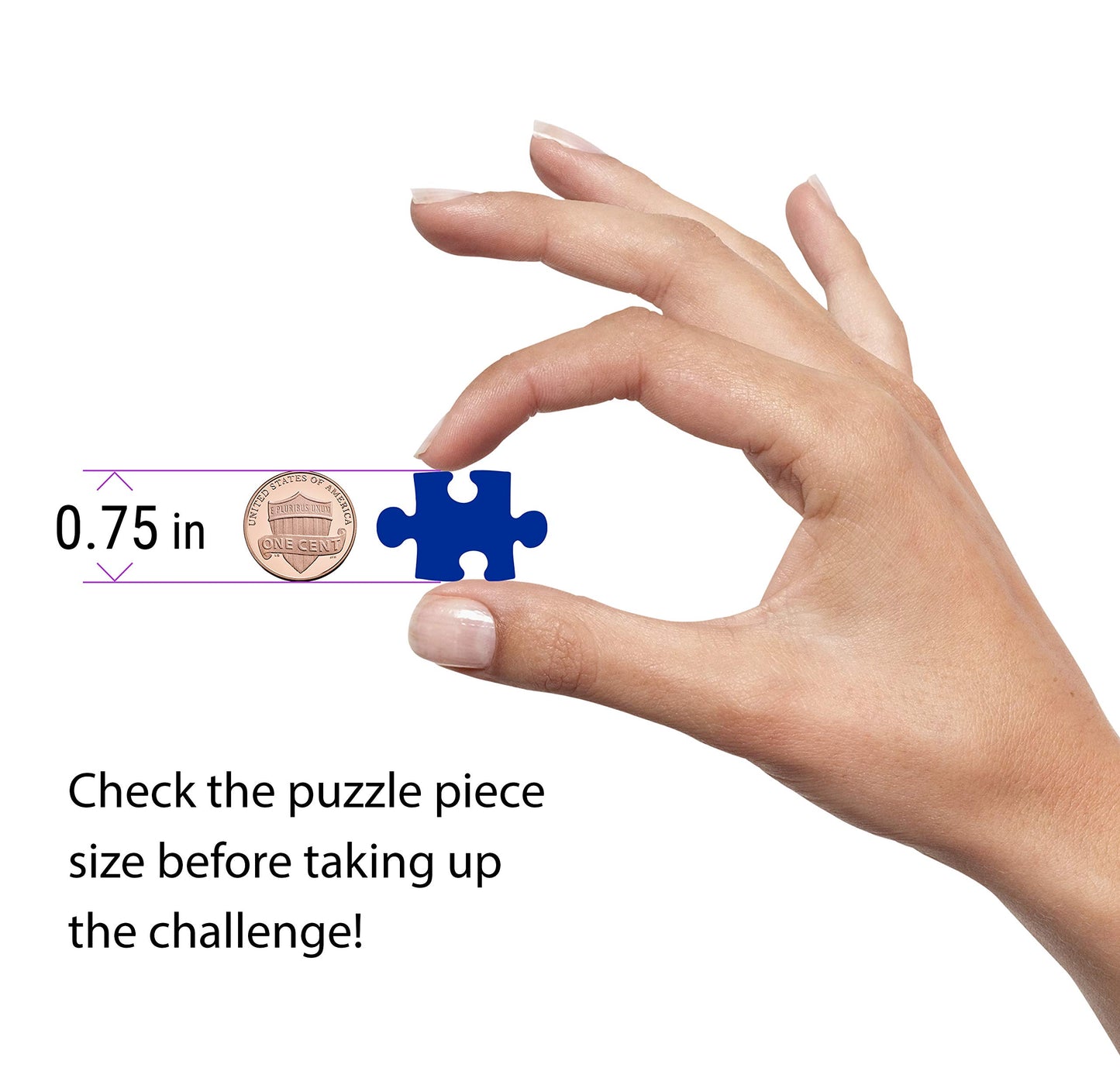 Europe Puzzle – 1000 Piece Jigsaw Puzzle – Picturesque Amsterdam with Bicycles