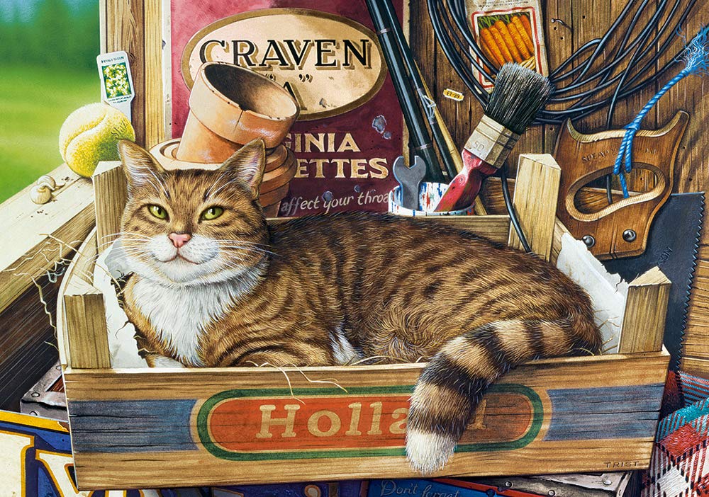 Castorland Puzzle 500 Pieces, Fothergill - В-53476