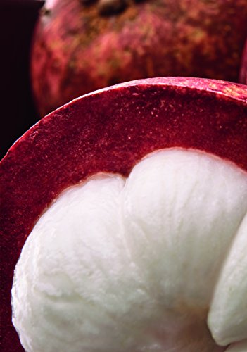 Yves Rocher Slimming and Firming Serum 150 ml / 5 fl oz