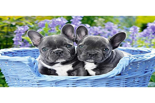 Castorland CSC104246 1000 pc - French Bulldog Puppies Jigsaw Puzzle, Multicolour