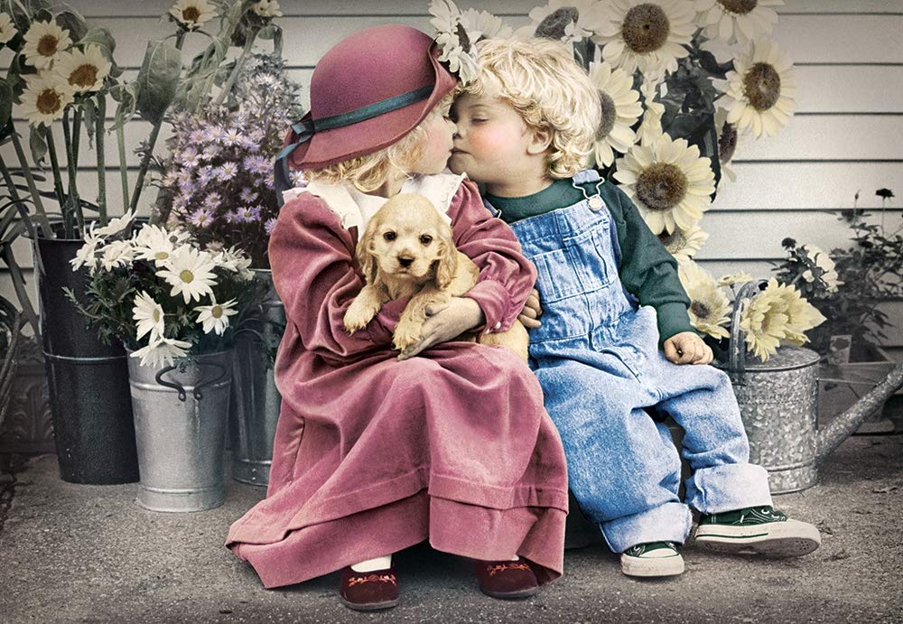 Castorland Puzzle 1000 Pieces, First Love - С-104451