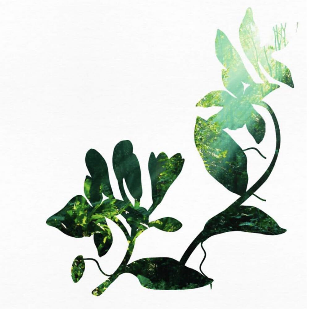 Yves Rocher Body Milk Lotion - 390 ml. / 13.1 fl.oz.