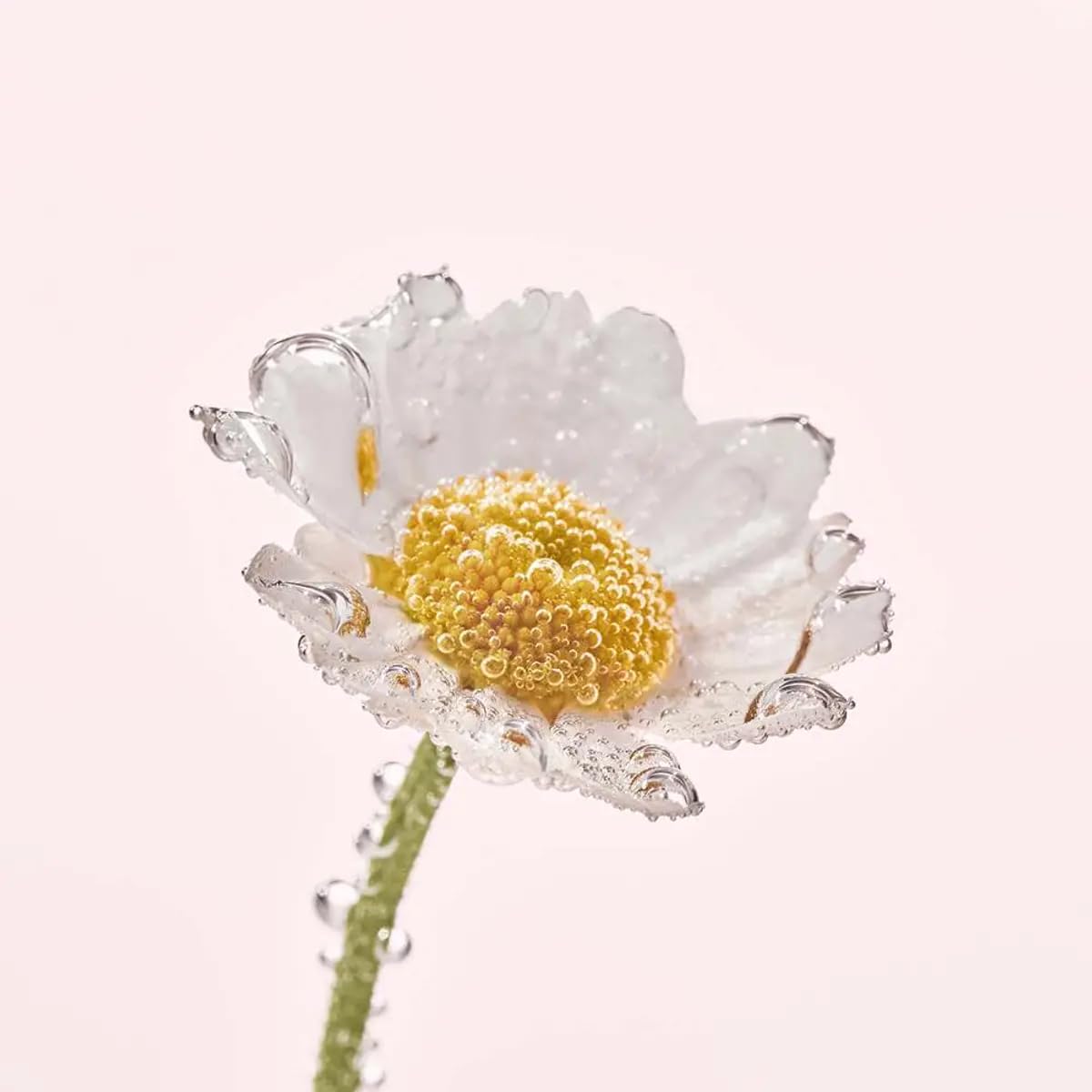 Yves Rocher PURE CALENDULA Regenerating Day & Night Cream Moisturizer 50ml