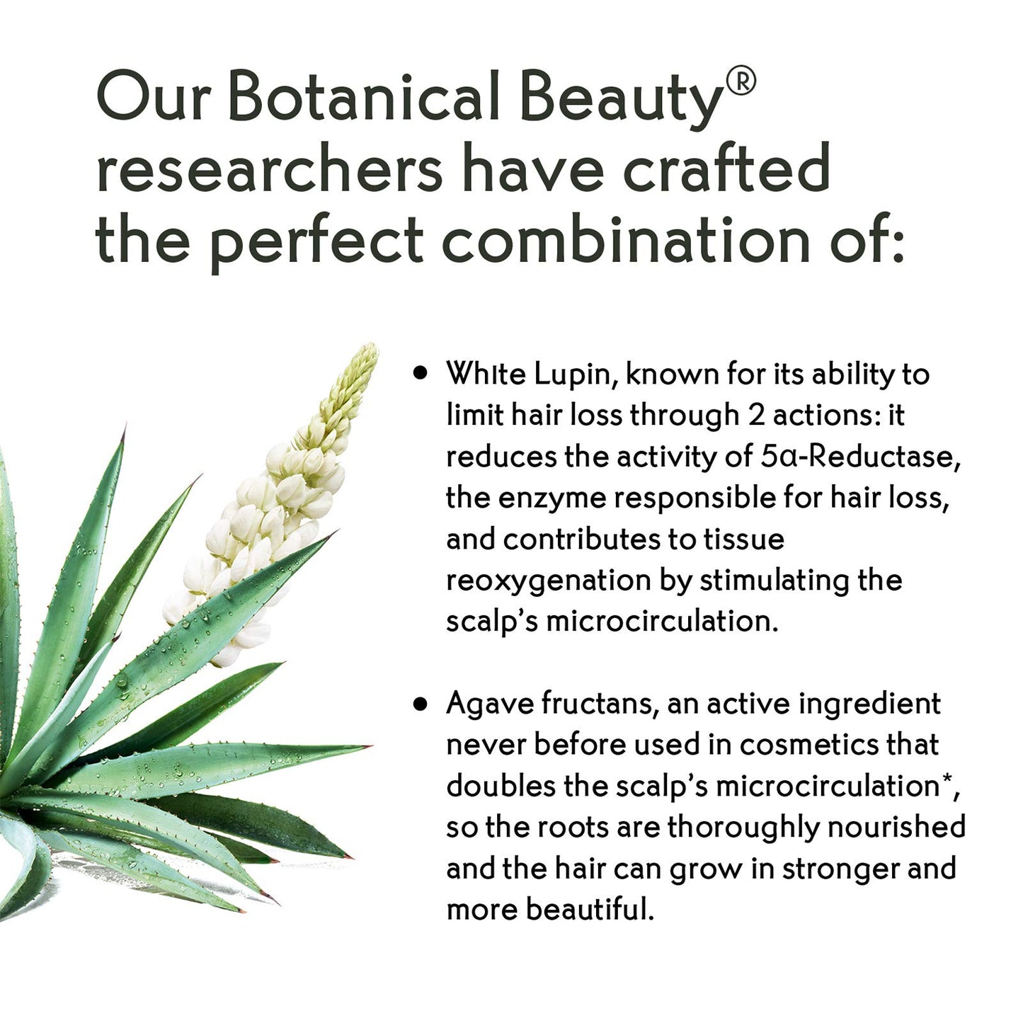 Yves Rocher Anti-Hair Loss Conditioner 200 ml / 6.7 fl oz