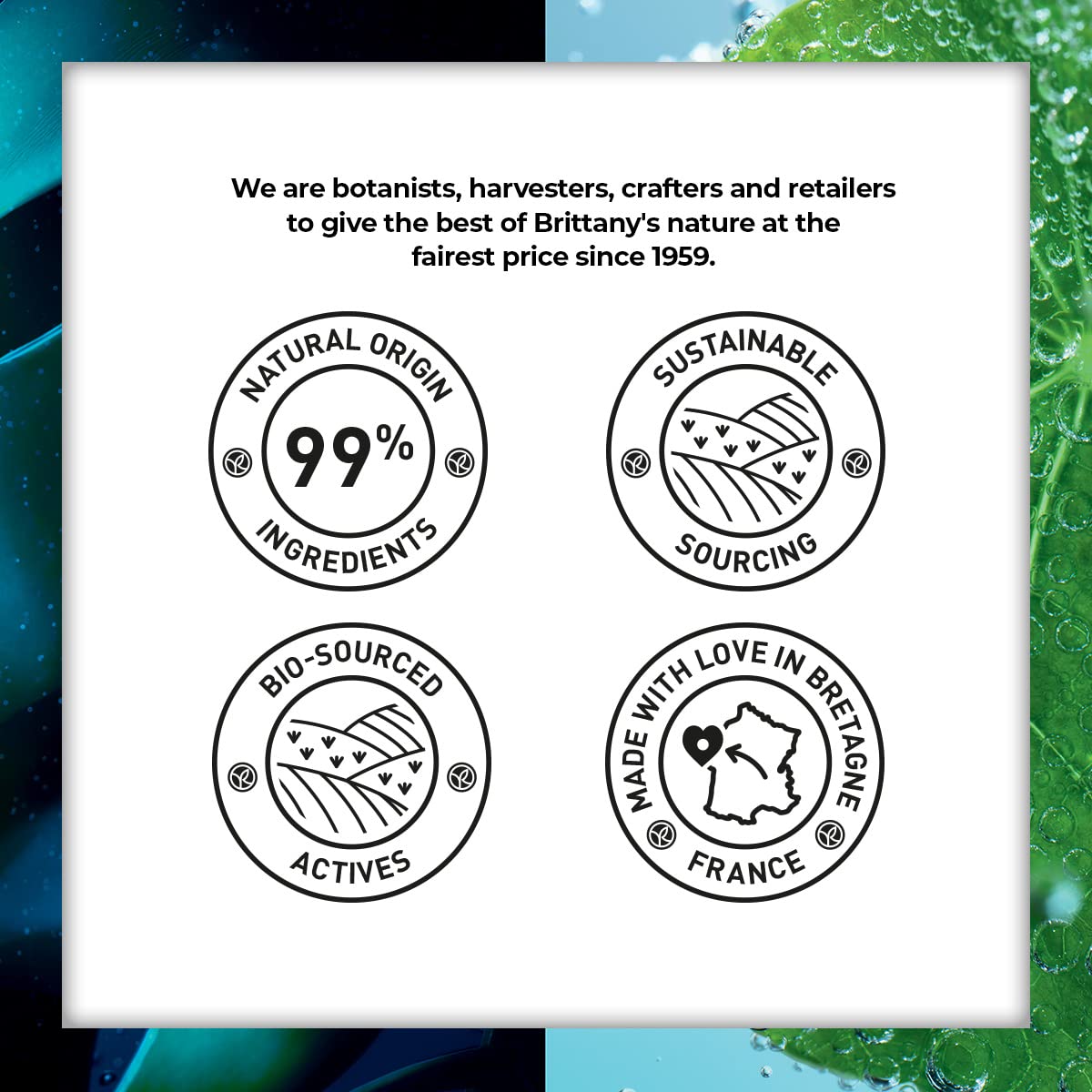 Yves Rocher Elixir Botanique Recovery Night Serum, Face Serum to Revitalize and Strengthen Skin, 1.01 Fl Oz