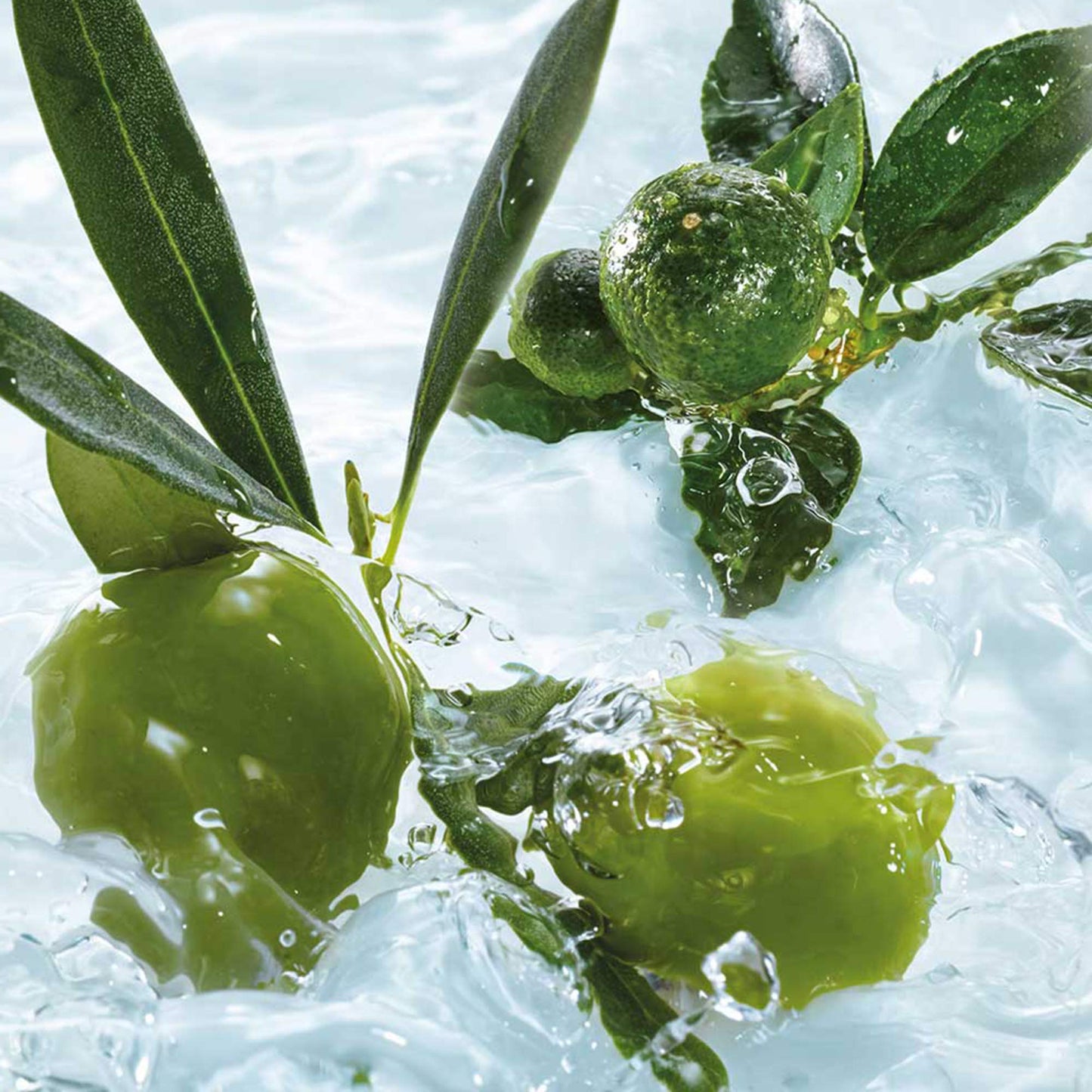 Yves Rocher Olive Petitgrain Perfumed Spray for Body & Hair, 100 ml./3.38 fl.oz.