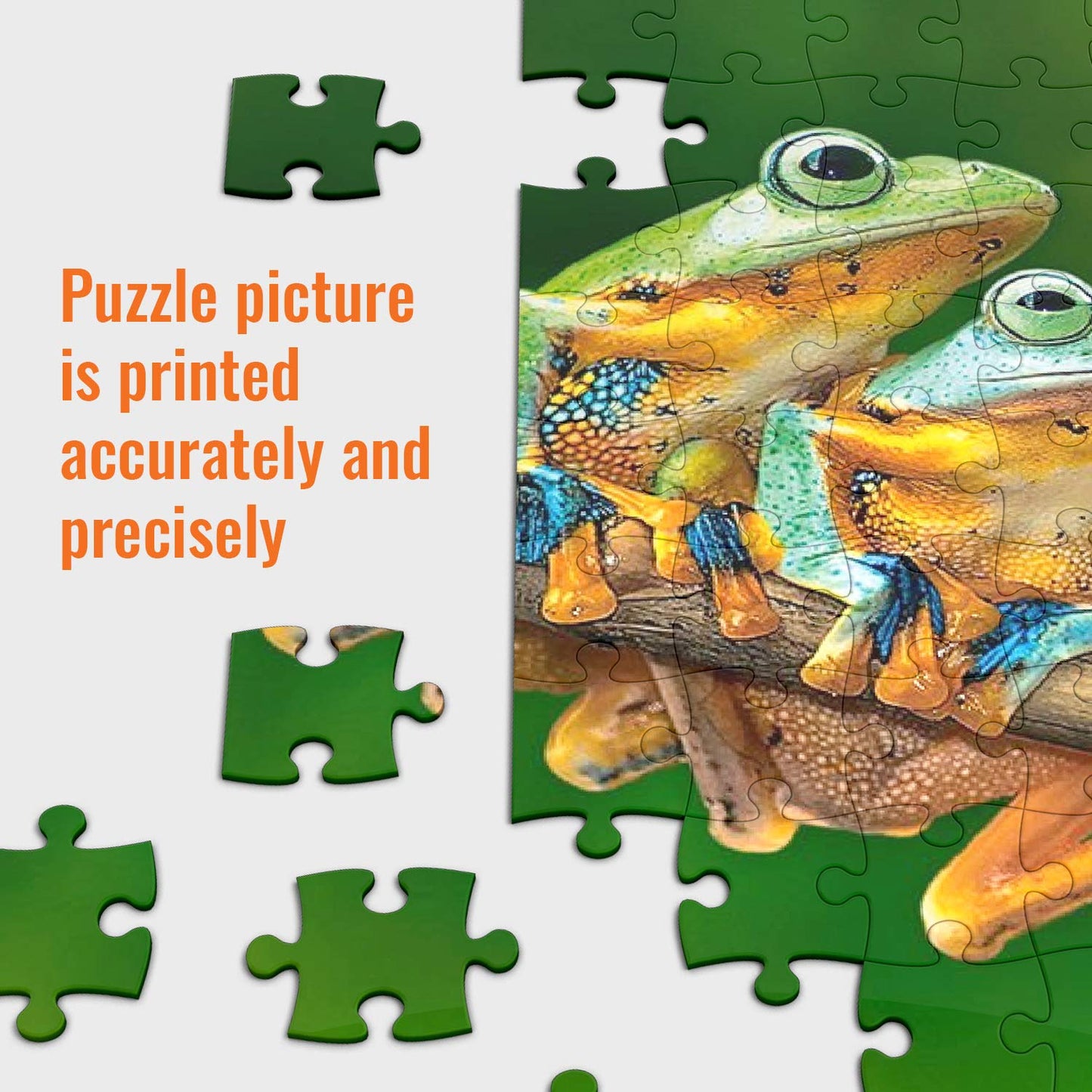 Puzzles for Adults – 1000 Piece Jigsaw Puzzle – Amsterdam Landscape – Europe Puzzle – Landscape Puzzle