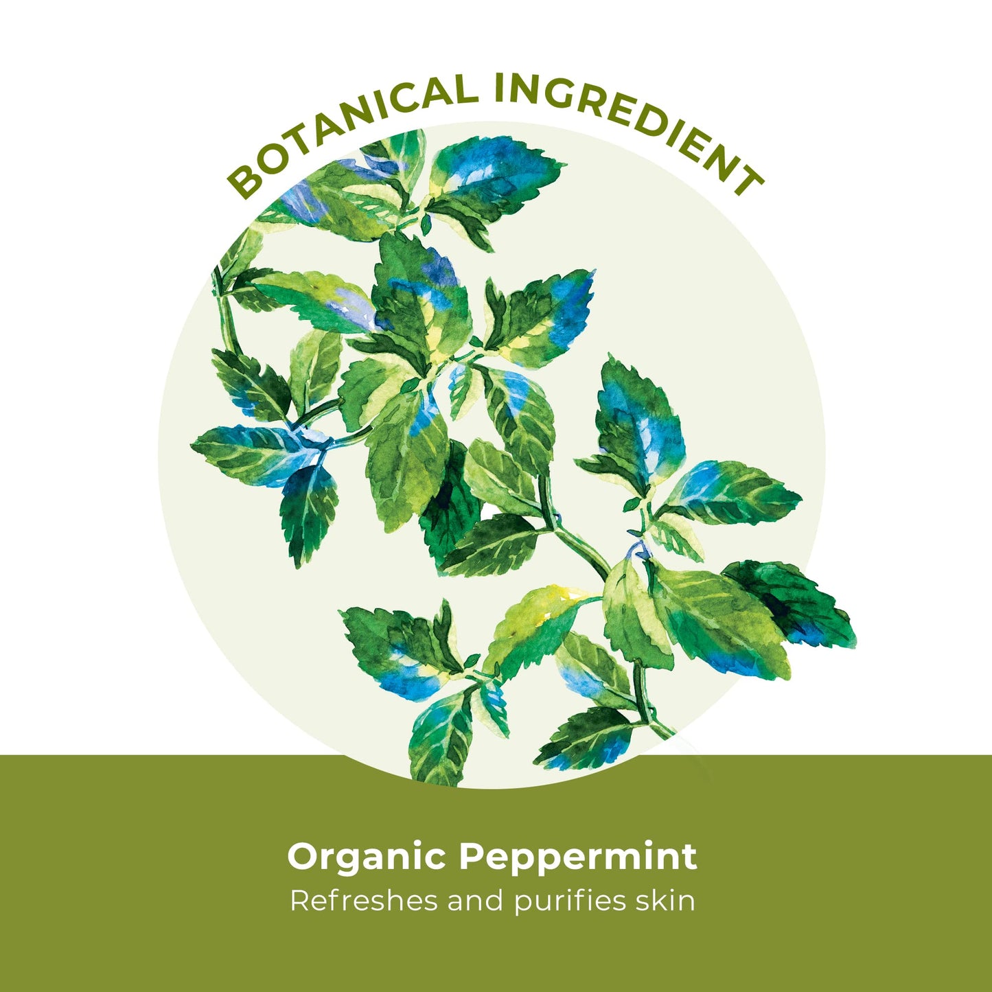 Yves Rocher Pure Menthe Purifying Makeup Removing Micellar Water, 200 ml./6.7 fl.oz.