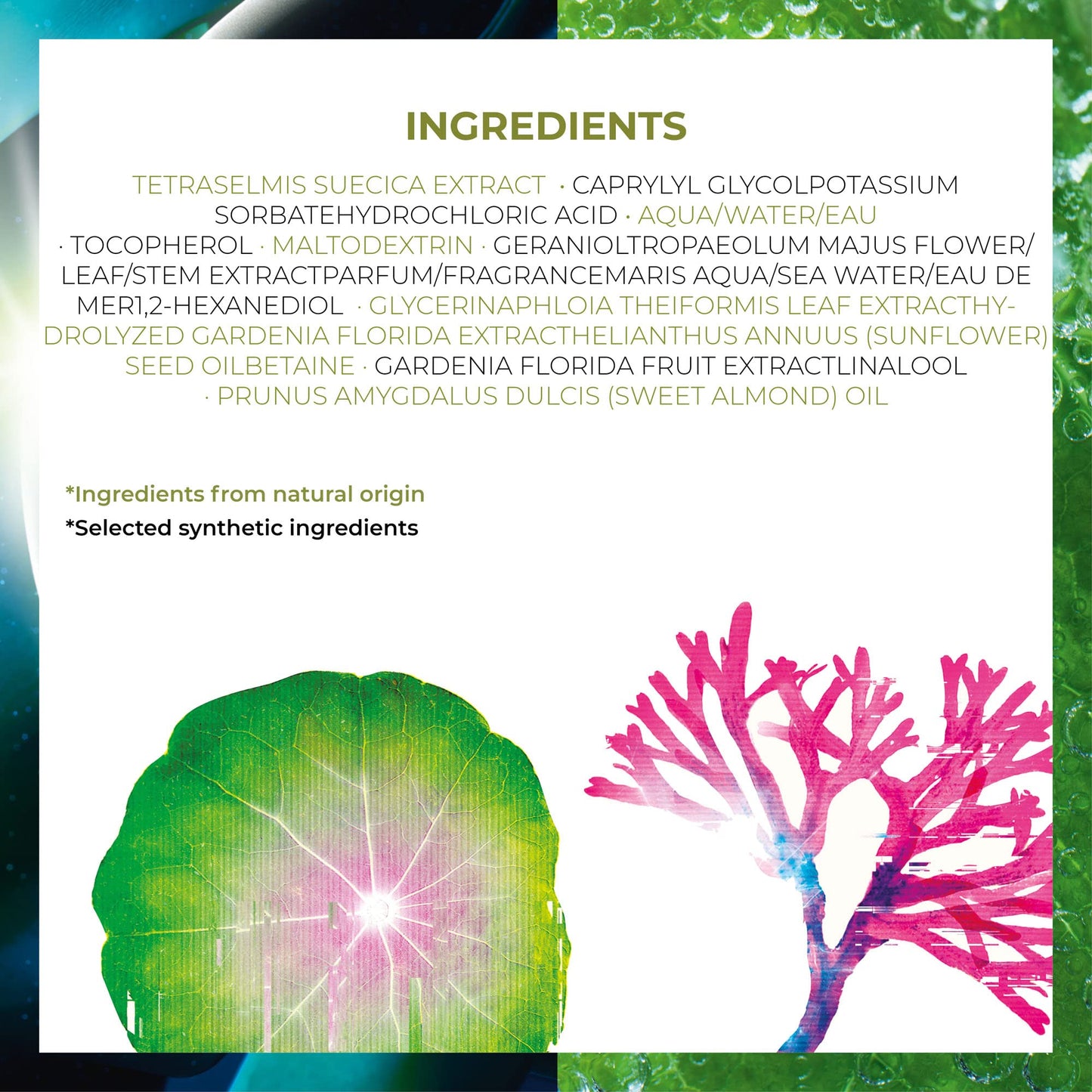 Yves Rocher Elixir Botanique Recovery Night Serum, Face Serum to Revitalize and Strengthen Skin, 1.01 Fl Oz