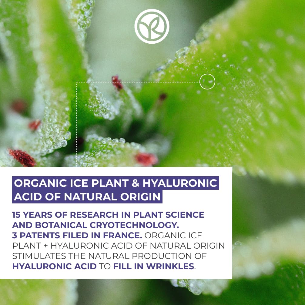 Yves Rocher Filler Vegetal Anti-wrinkle Plumping Care - Day and Night (Set)