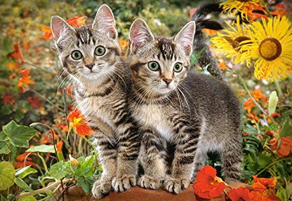Castorland Puzzle 1500 Pieces, Kitten Buddies - С-151899