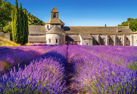 Castorland Puzzle 1000 Pieces, Lavender Field in Provence, France - С-104284