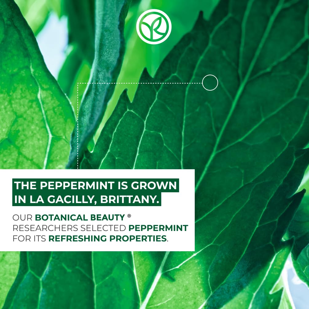 Yves Rocher Pure Menthe Purifying Clay Mask for Oily and Combination Skin, 75 ml./2.5 fl.oz.