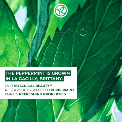 Yves Rocher Pure Menthe Purifying Clay Mask for Oily and Combination Skin, 75 ml./2.5 fl.oz.