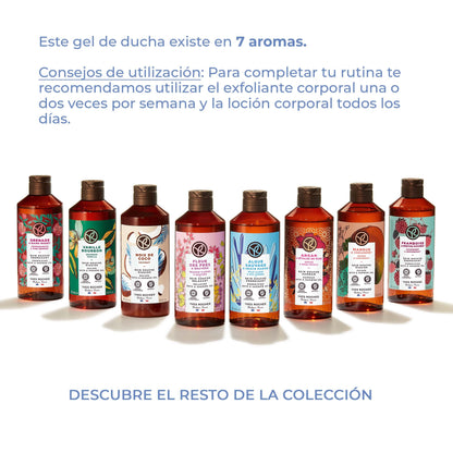 Yves Rocher Bath and Shower Body Gel 400 ml. / 13.5 fl.oz. - 200 ml. / 6.7 fl.oz.