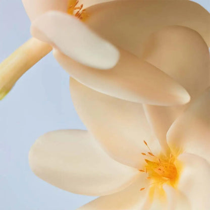 Yves Rocher Monoi Eau de Toilette Coconut Tiare Notes Summer Scent Long Lasting Fragrance Spray 100 ml./3.3 fl.oz.