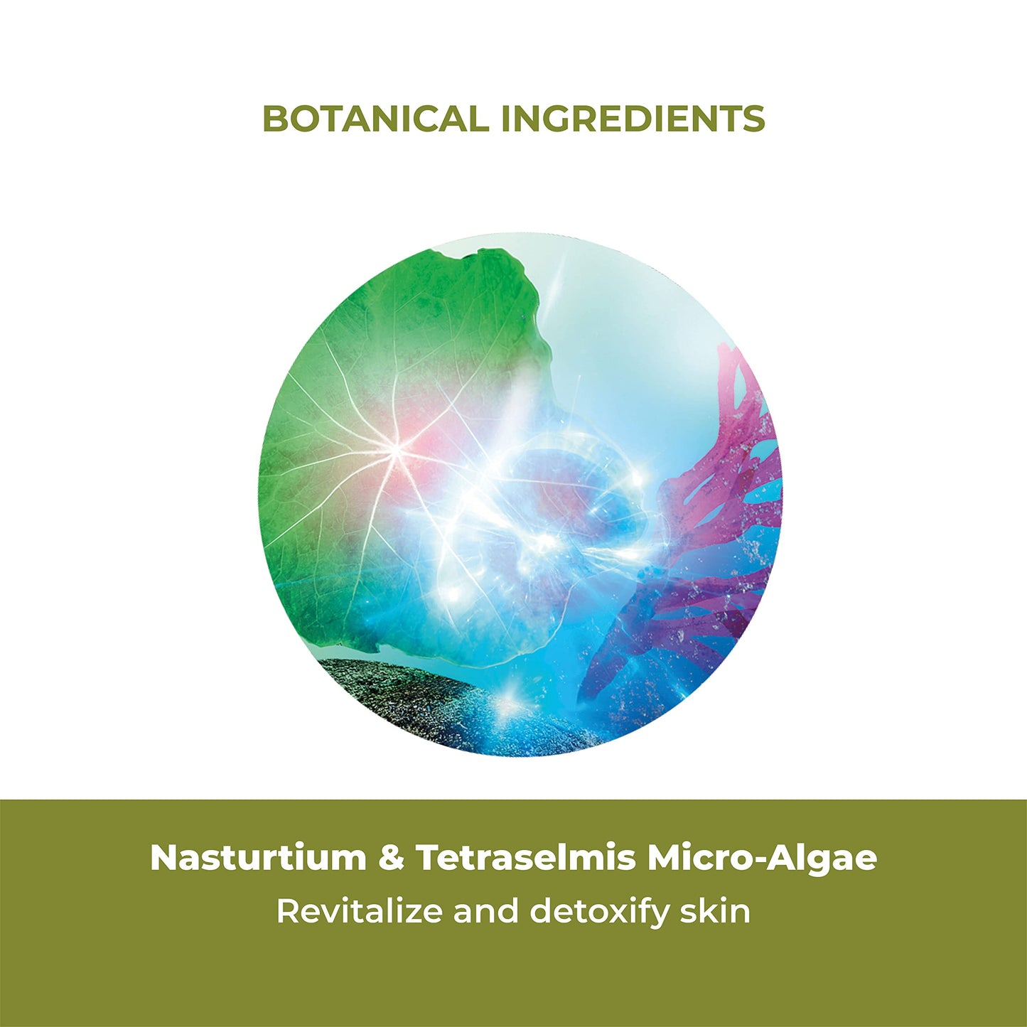 Yves Rocher Elixir Botanique Fortifying Anti-Pollution Daily Serum | Face Serum Protects Against Harmful Effects of Pollution | 1.69 Fl Oz