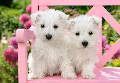 Castorland Puzzle 1500 Pieces, White Terrier Puppies - С-151721