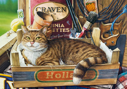 Castorland Puzzle 500 Pieces, Fothergill - В-53476