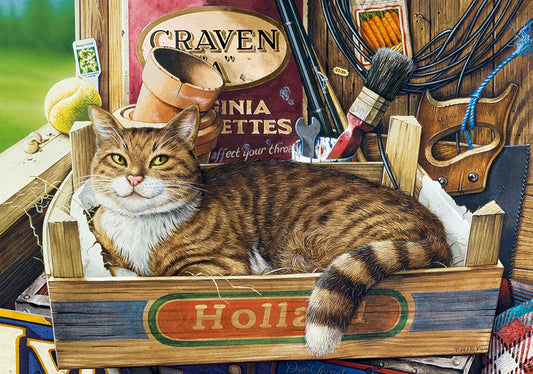 Castorland Puzzle 500 Pieces, Fothergill - В-53476