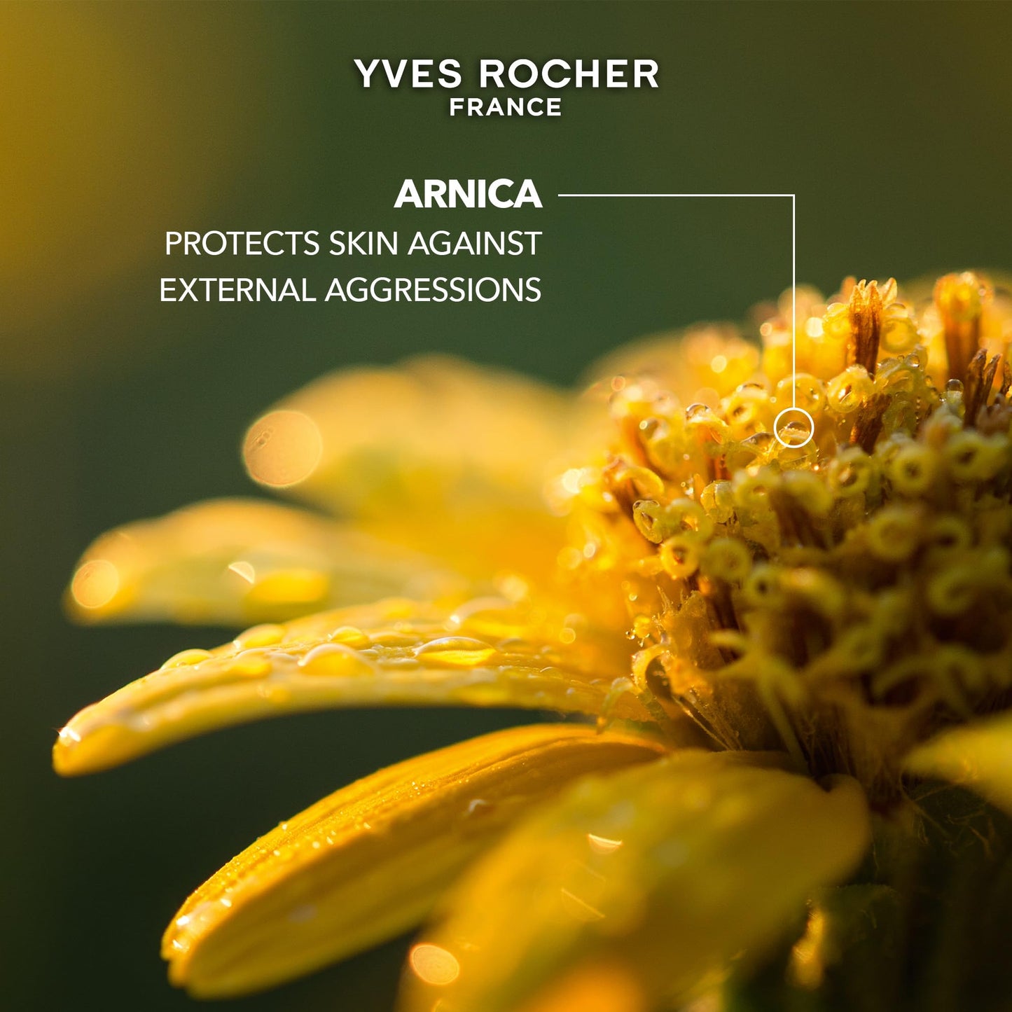 Yves Rocher Long-lasting Restorative Organic Arnica Hand Balm 75 ml./2.5 fl.oz.