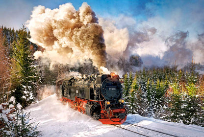 Castorland Puzzle 1000 Pieces, Steam Train - С-103409