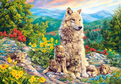 Castorland Puzzle 1000 Pieces, New Generation - С-104420