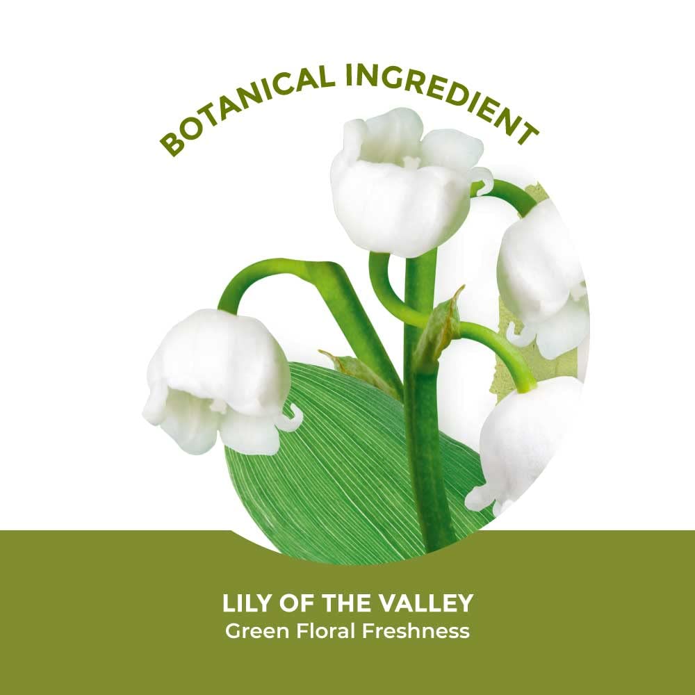 Yves Rocher Lily of the Valley Scent Shower Gel