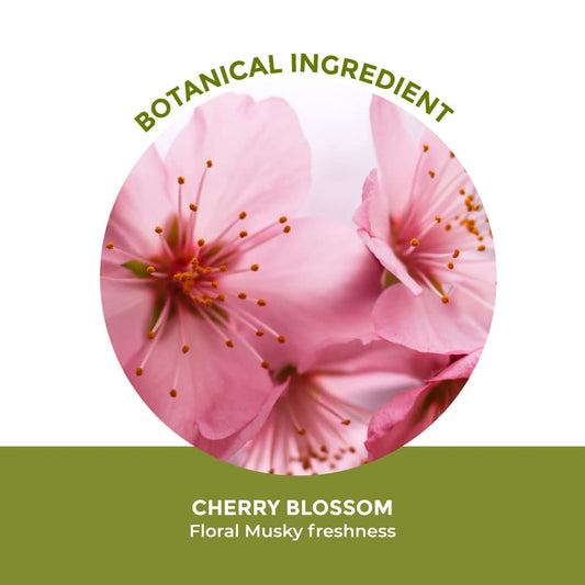 Yves Rocher Cherry Blossom, cherry bloom Eau de toilette for Women, Spray 100 ml./3.3 fl.oz.