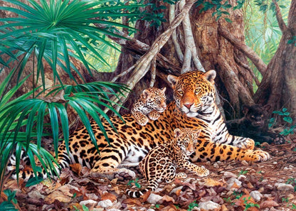 Castorland Puzzle 3000 Pieces, Jaguars in The Jungle - С-300280