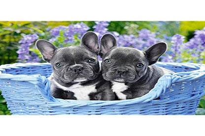 Castorland CSC104246 1000 pc - French Bulldog Puppies Jigsaw Puzzle, Multicolour
