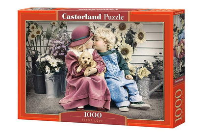 Castorland Puzzle 1000 Pieces, First Love - С-104451