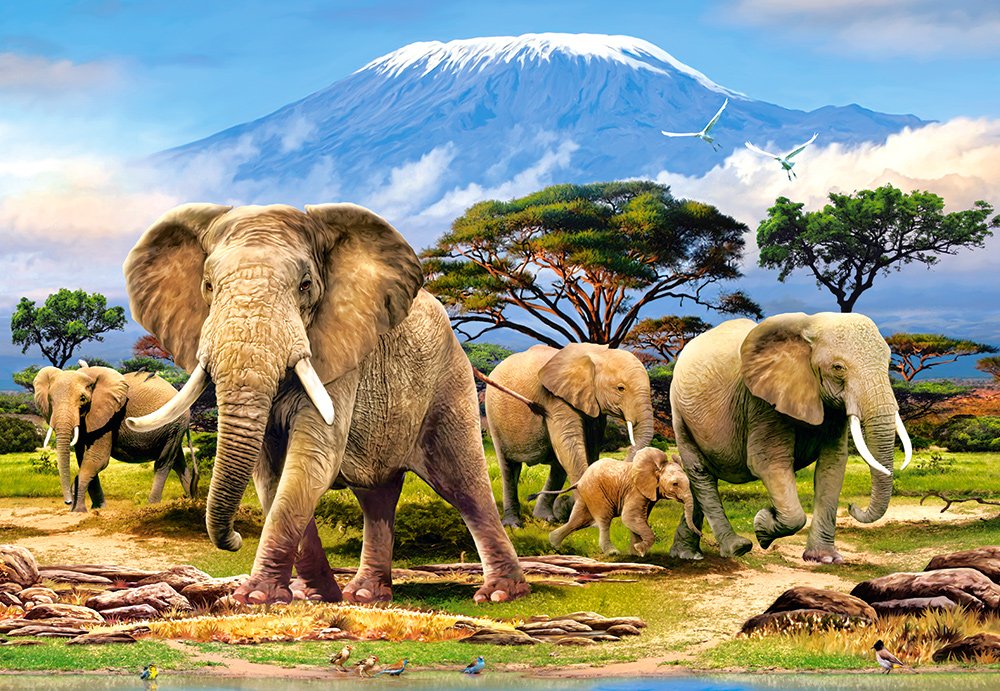 Castorland C-103188 Hobby Panoramic Kilimanjaro Morning Jigsaw Puzzle, 1000 Pieces Set, Multi
