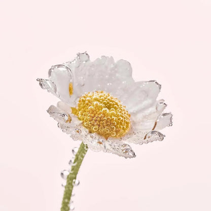 Yves Rocher PURE CALENDULA Regenerating Day & Night Cream Moisturizer 50ml