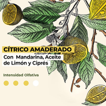 Yves Rocher Essences Botaniques Ondes Positives Oil Perfume Women Long Lasting Fragrance 50 ml./1.7 fl.oz.