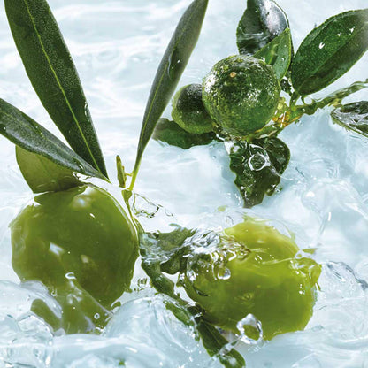 Yves Rocher Olive Petitgrain Perfumed Spray for Body & Hair, 100 ml./3.38 fl.oz.