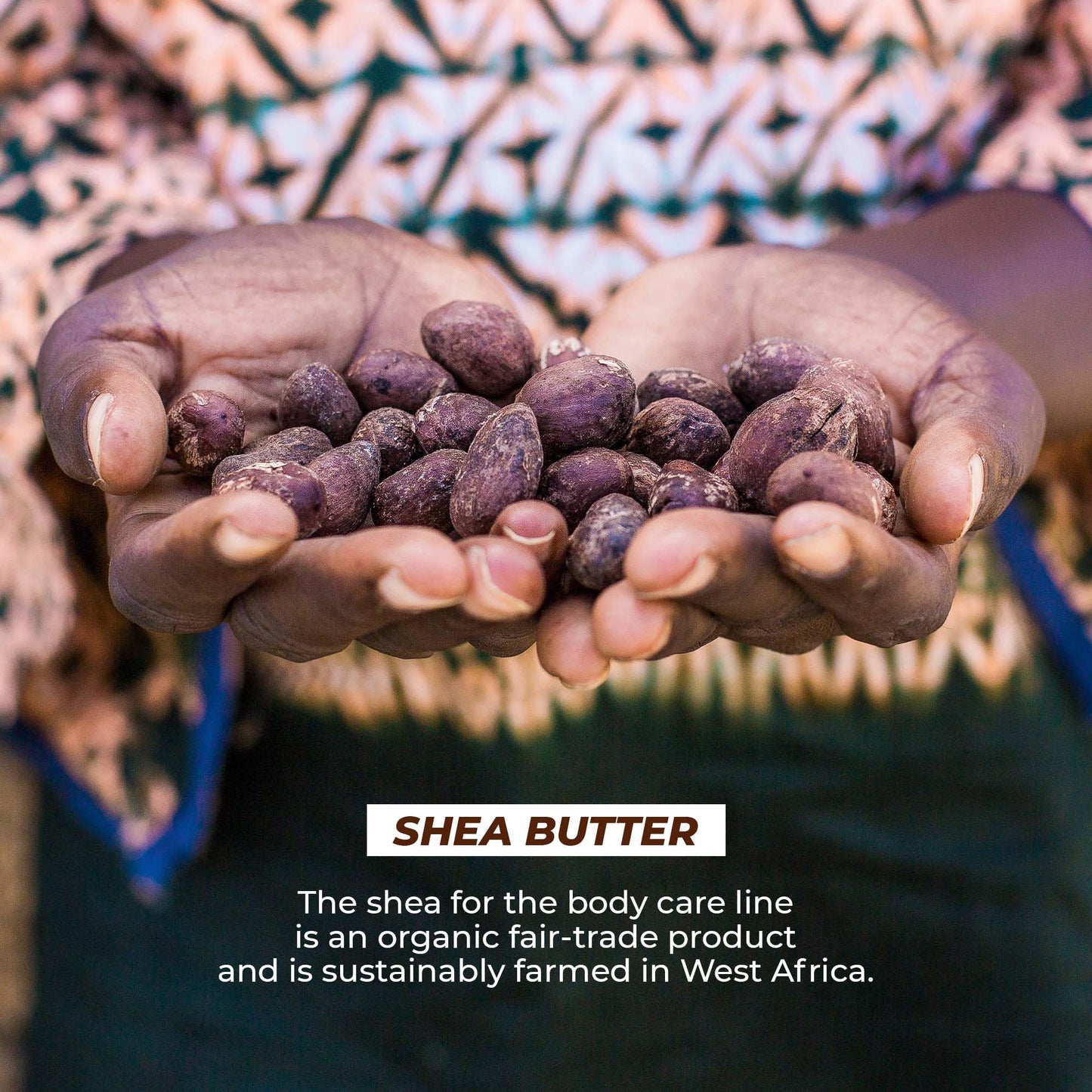 Yves Rocher Repair Lotion for Extra Dry Skin | Hand and Body Lotion to Repair & Nourish |13.1 fl oz