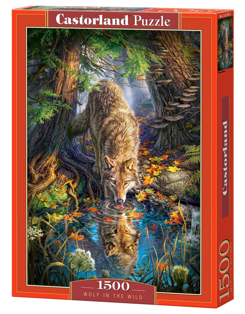 Castorland Puzzle 1500 Pieces, Wolf in The Wild - С-151707