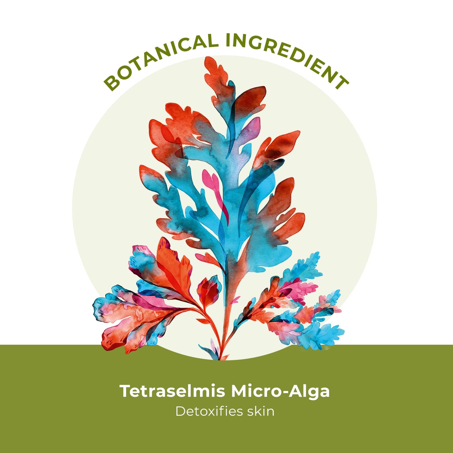 Yves Rocher Oxygenating Cleansing Foam for Normal to Combination Skin – Pure Algue – 5 Oz – 1 Ct